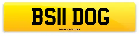BS11 DOG