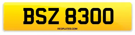 BSZ 8300