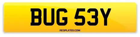 BUG 53Y