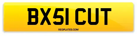 BX51 CUT