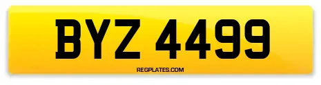 BYZ 4499