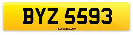 BYZ 5593