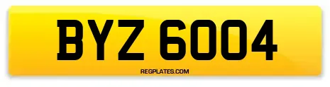 BYZ 6004