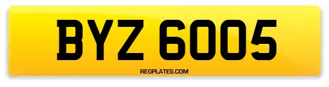 BYZ 6005