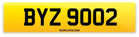BYZ 9002
