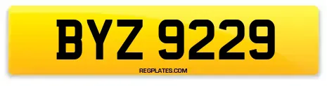 BYZ 9229