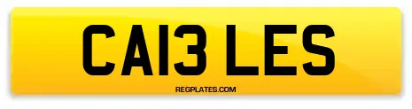 CA13 LES