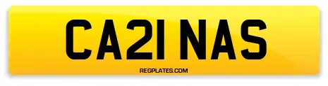 CA21 NAS