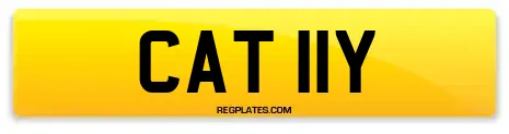 CAT 11Y