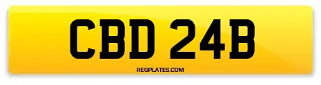 CBD 24B