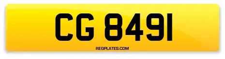 CG 8491