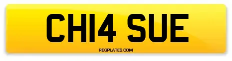 CH14 SUE