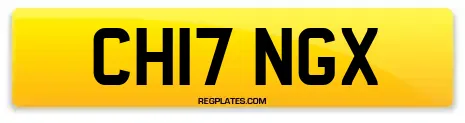 CH17 NGX