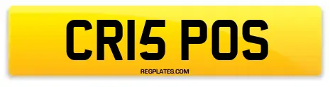 CR15 POS