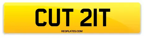 CUT 21T