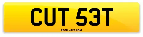 CUT 53T