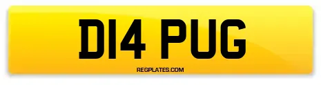 D14 PUG