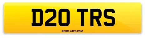 D20 TRS
