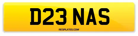 D23 NAS