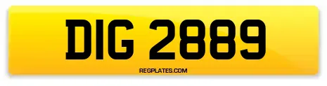 DIG 2889