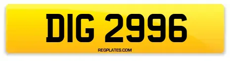 DIG 2996