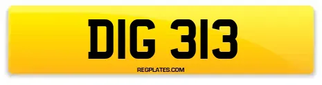 DIG 313