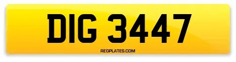 DIG 3447