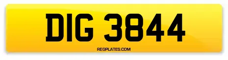 DIG 3844
