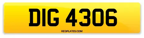 DIG 4306