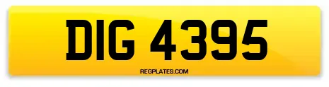 DIG 4395