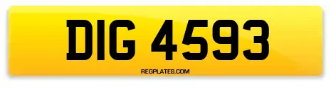 DIG 4593