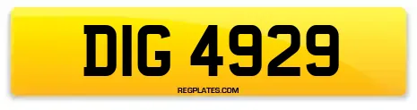 DIG 4929
