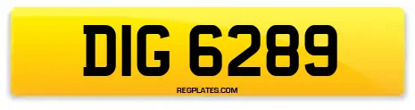 DIG 6289