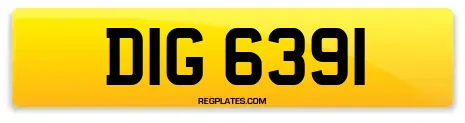 DIG 6391