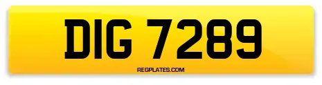 DIG 7289