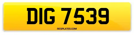 DIG 7539
