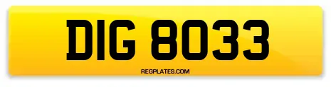DIG 8033