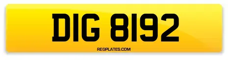 DIG 8192