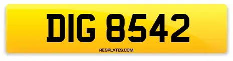 DIG 8542