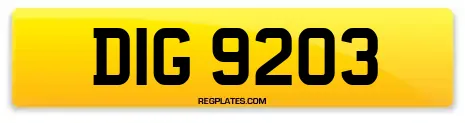 DIG 9203