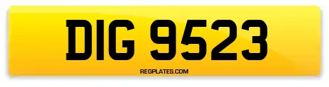 DIG 9523