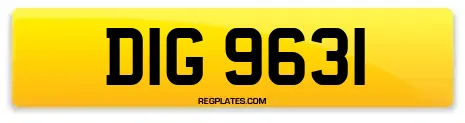 DIG 9631