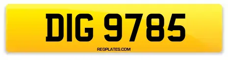 DIG 9785