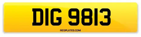 DIG 9813