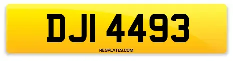 DJI 4493