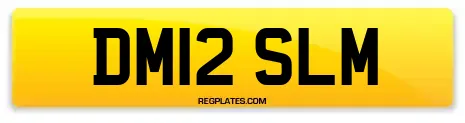 DM12 SLM