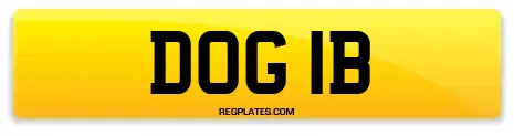 DOG 1B