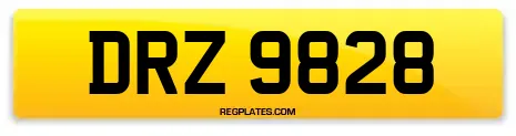DRZ 9828