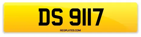 DS 9117