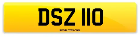 DSZ 110